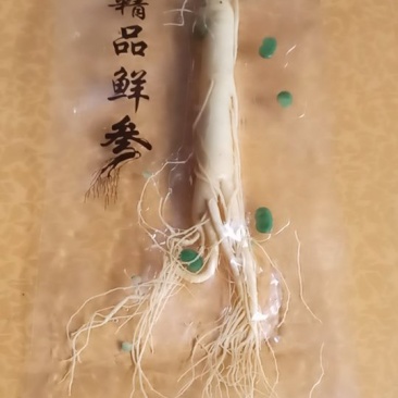 精品保鲜参