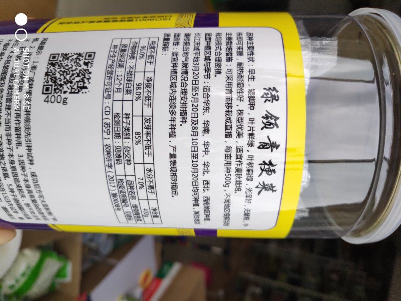 绿领青梗菜种子早生矮脚型耐热耐湿性好叶柄扁绿株型优美