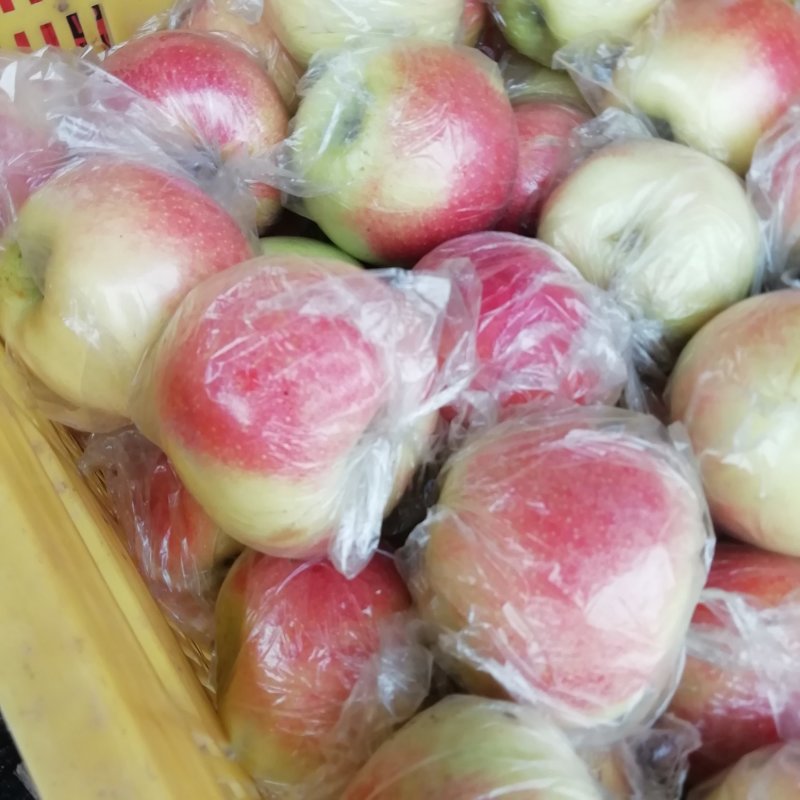 美八苹果