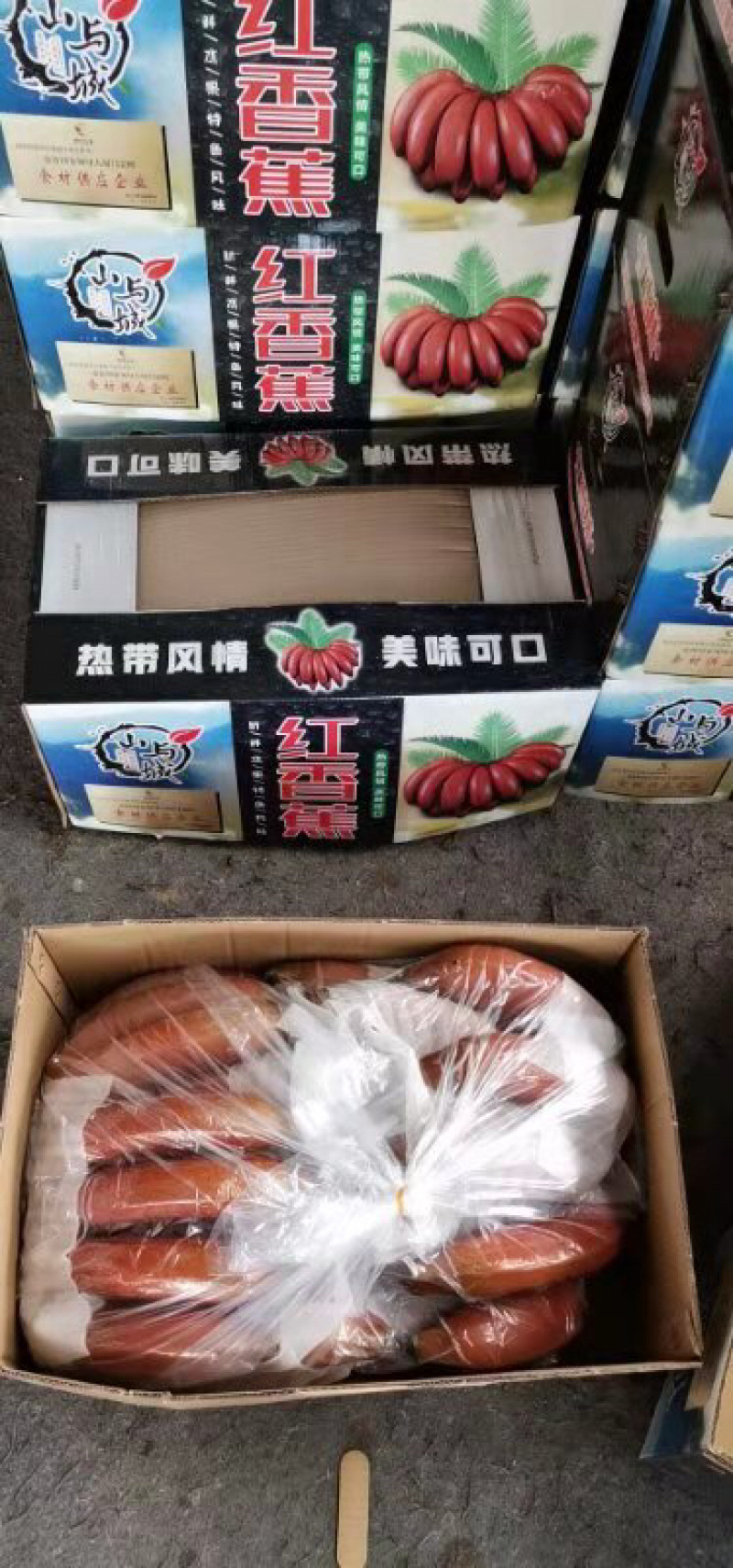 红香蕉基地大量供应链欢迎对接一件代发日供量1万