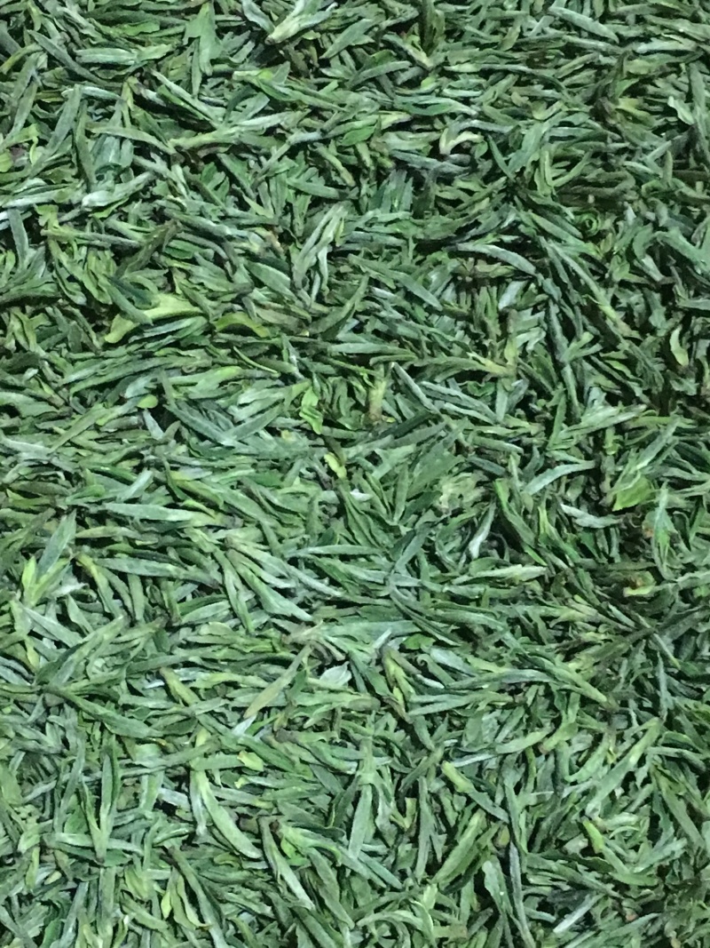 高山绿茶