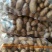 山东冷库黄心土豆V7土豆荷兰十五沃土豆大量出库全国发货
