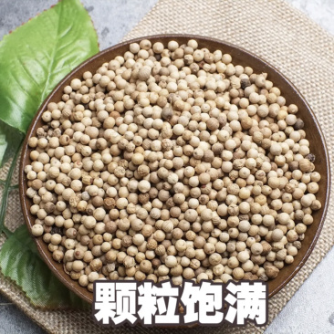【白胡椒】海南白胡椒选