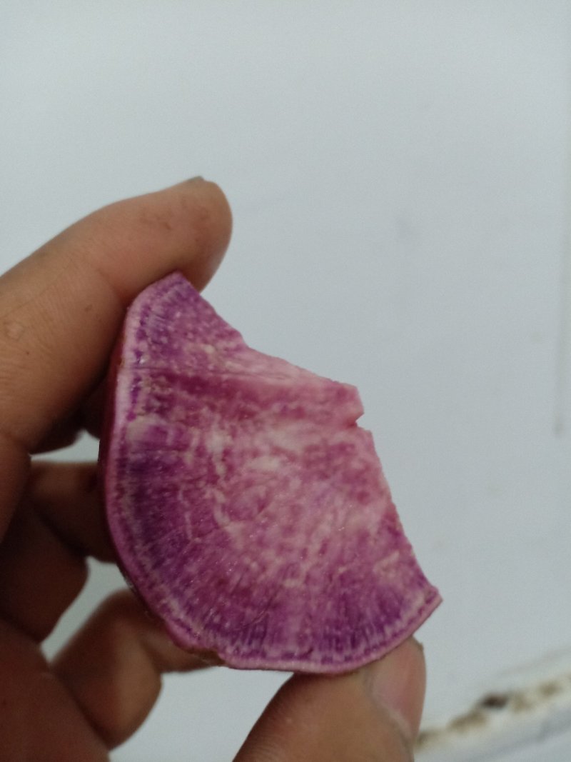 何首乌红薯
