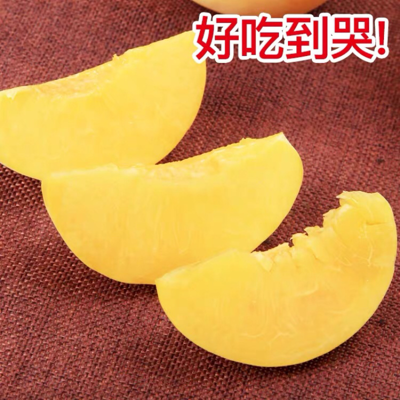 蒙阴黄桃一件代发原产地团购微商社群顺丰包邮