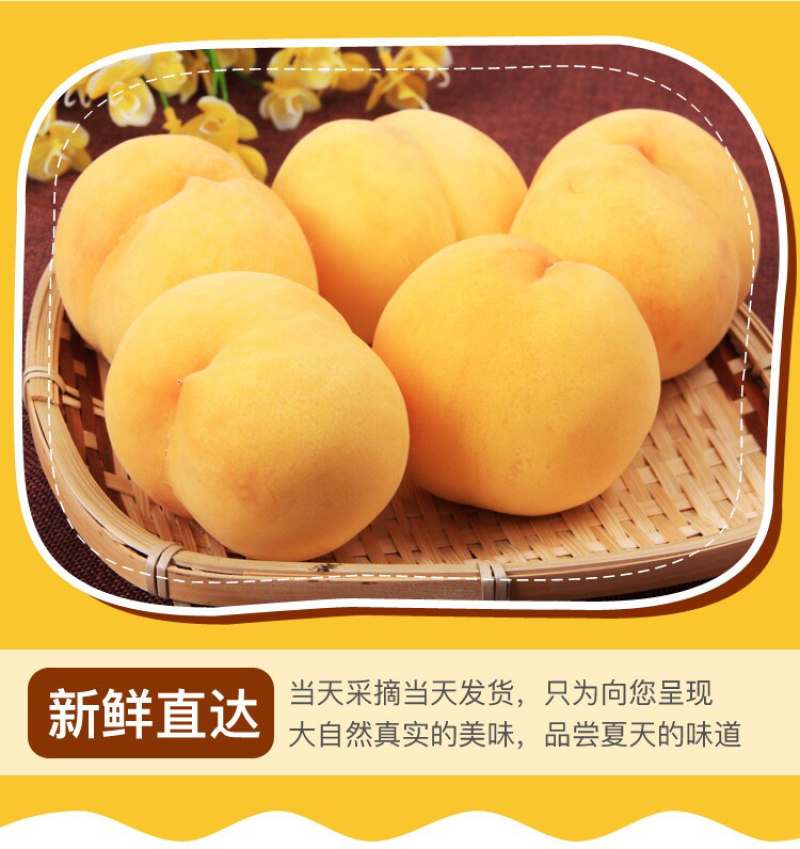 蒙阴黄桃一件代发原产地团购微商社群顺丰包邮