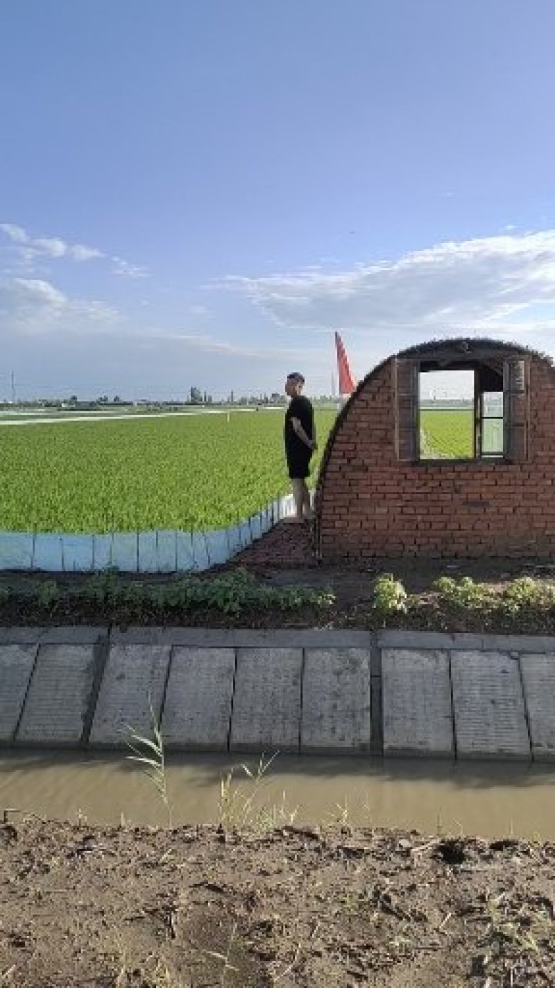 盘锦河蟹批发大量上市产地直发各种规格
