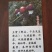蘑菇种子，菌种，大球盖菇，原种，二级种