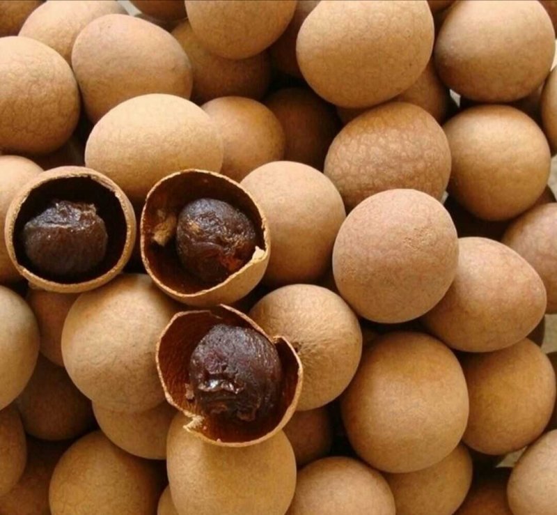 桂圆干，广西带壳桂圆干，龙眼干，个大肉厚口感好