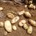 土豆（226），黄皮白心，河北农户种植，价格便宜！