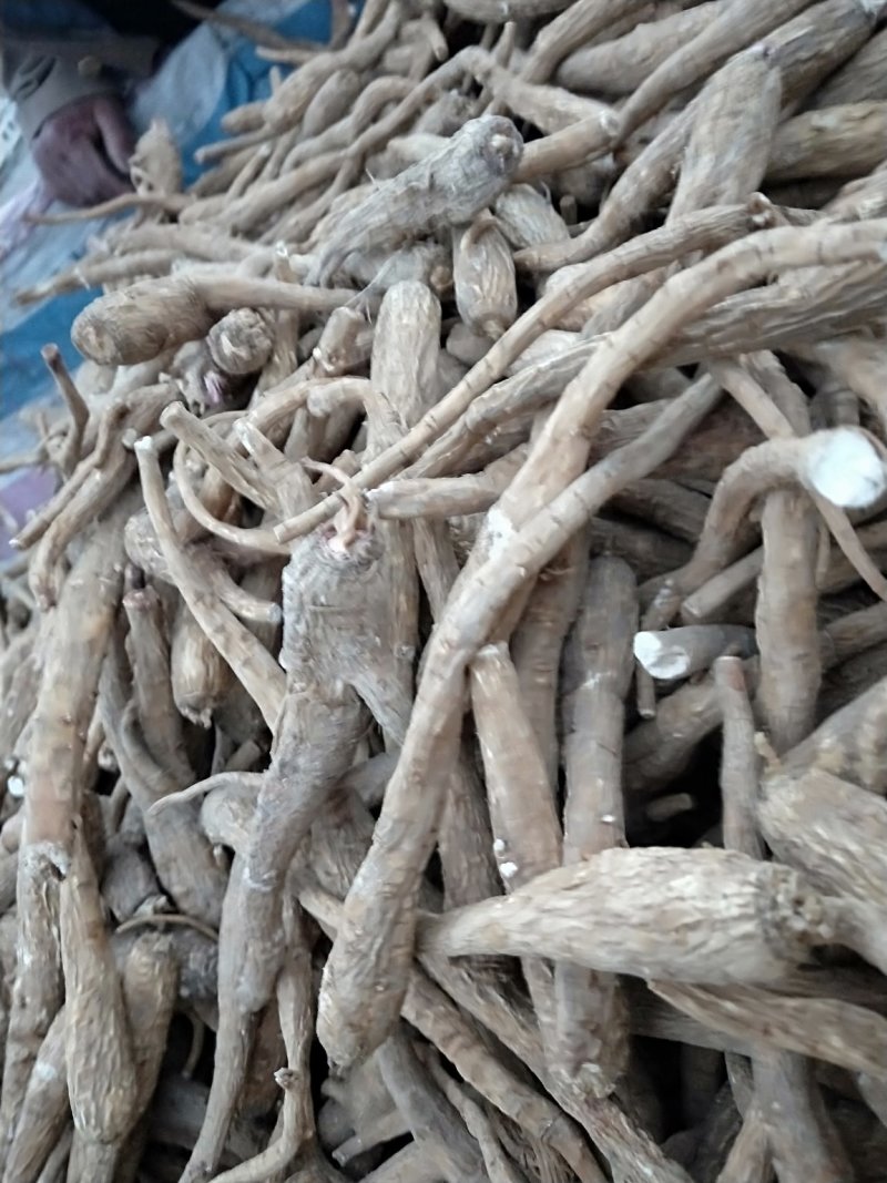 白芷片，香白芷，产地自产自销，支持走线上交易，长期供货