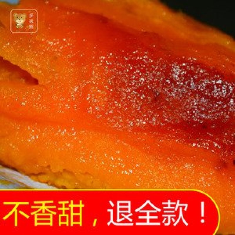 烟薯25沙地种植，2021新品上市欢迎订购