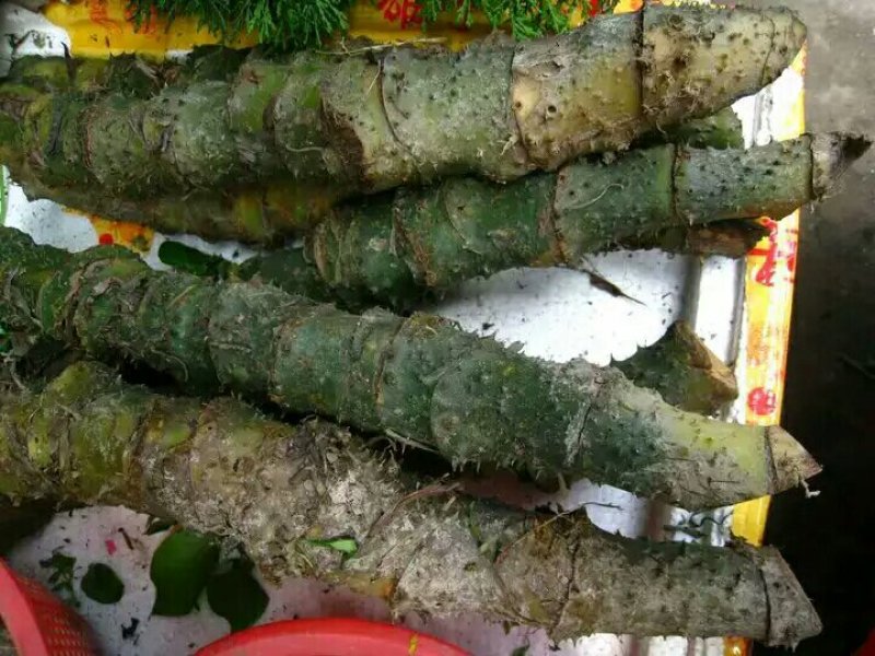 竹节慈茹、水刺芋、簕茨菇、旱茨菇
