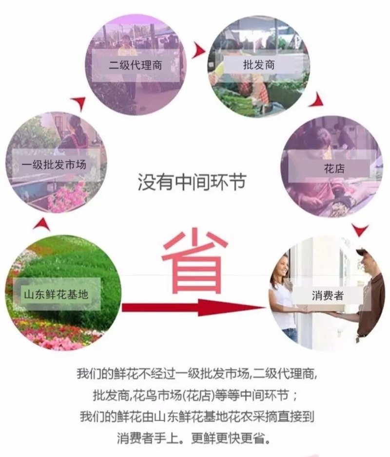 玫瑰扶郎鲜切花基地常年批发一扎20支包邮婚庆家庭办工装饰