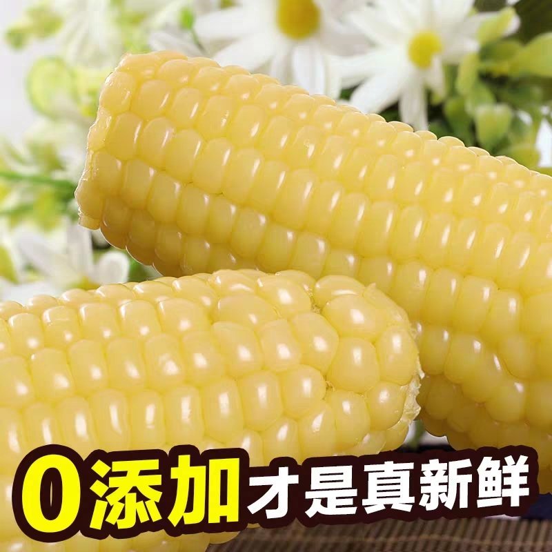 有机玉米