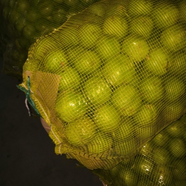 清香核桃特点皮薄，果瓤饱满，出仁率高，口感纯香。