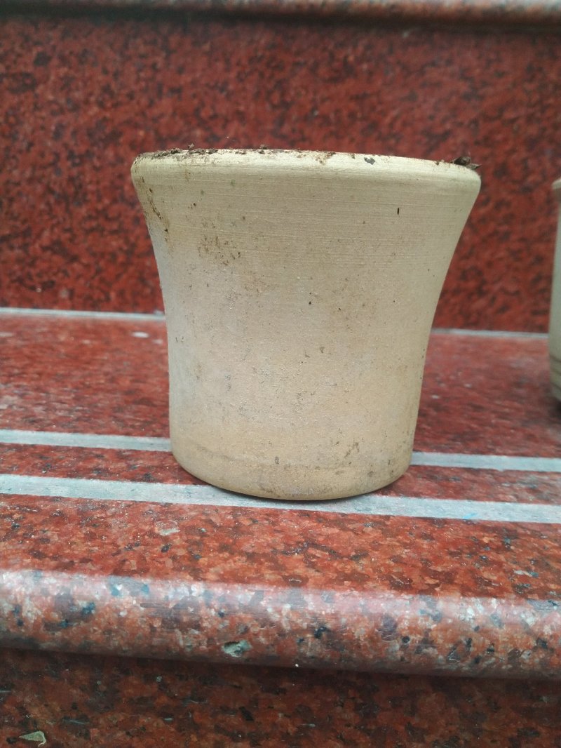 多肉素陶花盆