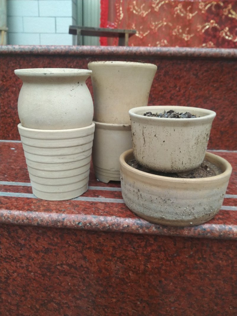 多肉素陶花盆