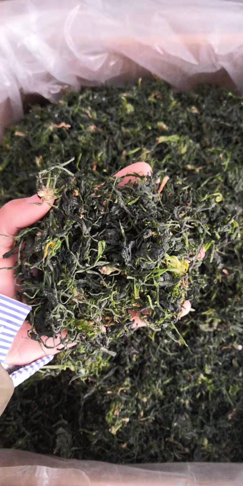 东北特产荠菜干菜～口感清香包馅料用