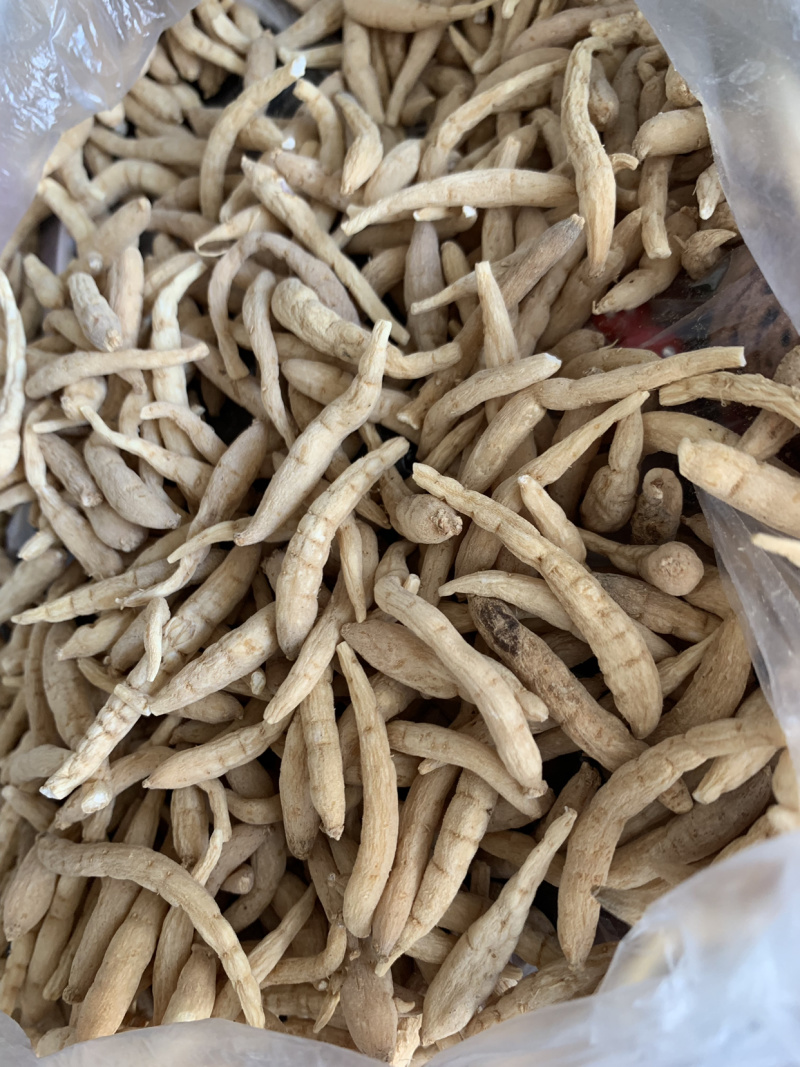 产地直销太子参，孩儿参，各种规格太子参投料