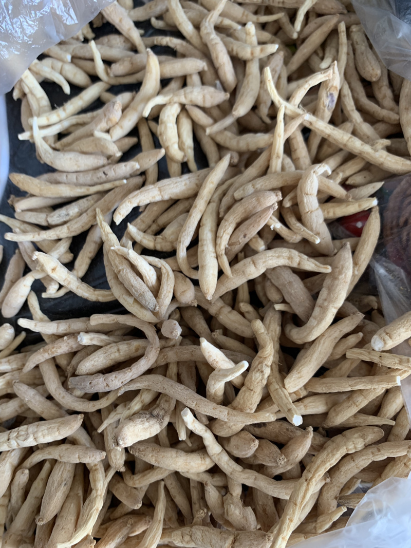 产地直销太子参，孩儿参，各种规格太子参投料