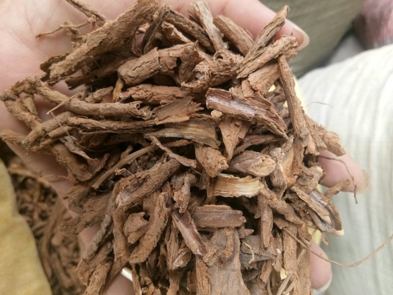 地骨皮正品无硫熏枸杞根一公斤起发货