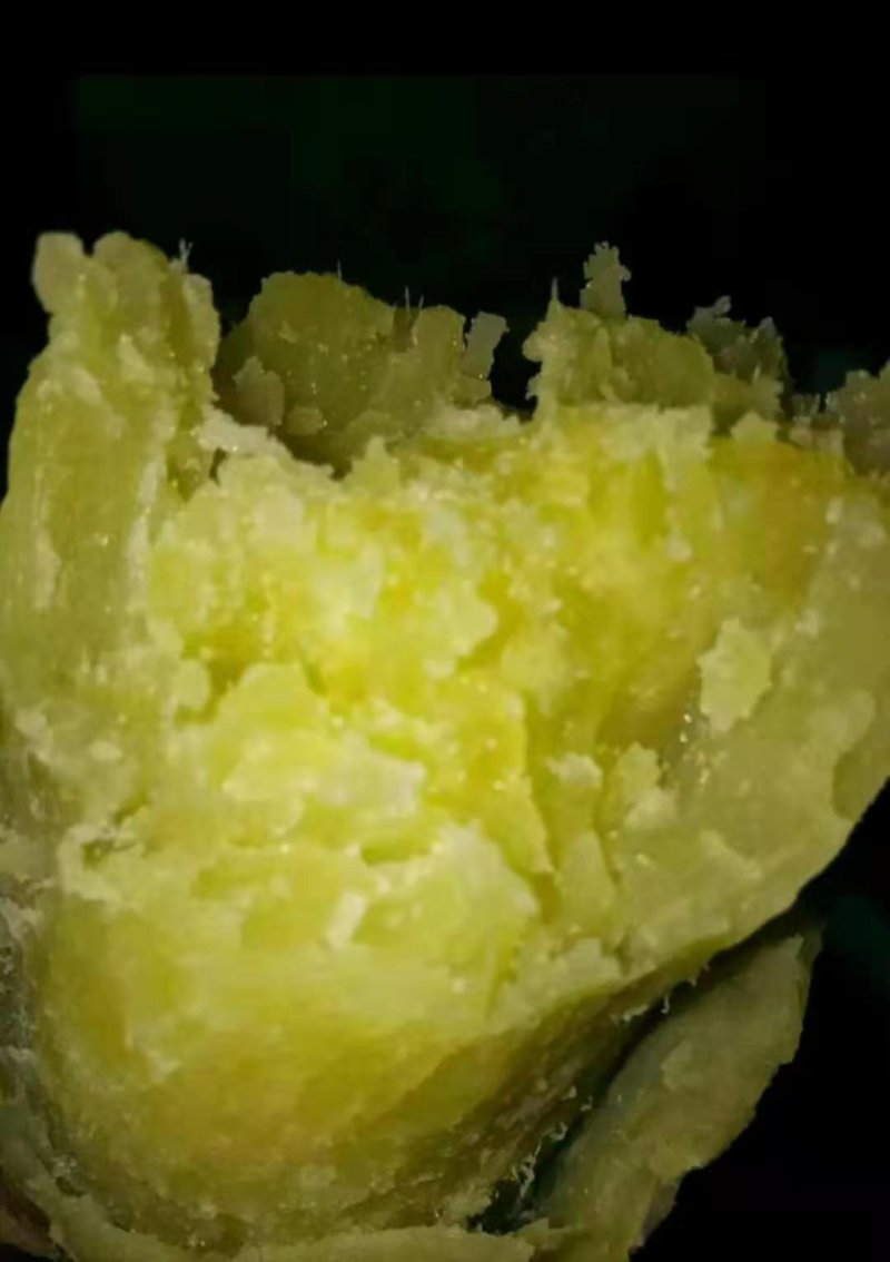 产地直发每天30万斤精品济薯26红皮黄心