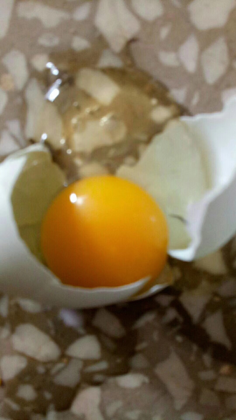 五峰原生态土鸡
