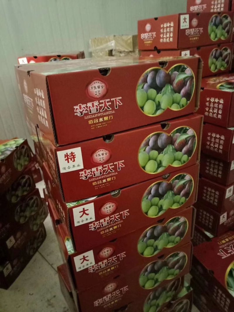 苍溪脆红李大量低价上市产地直供支持全国快递