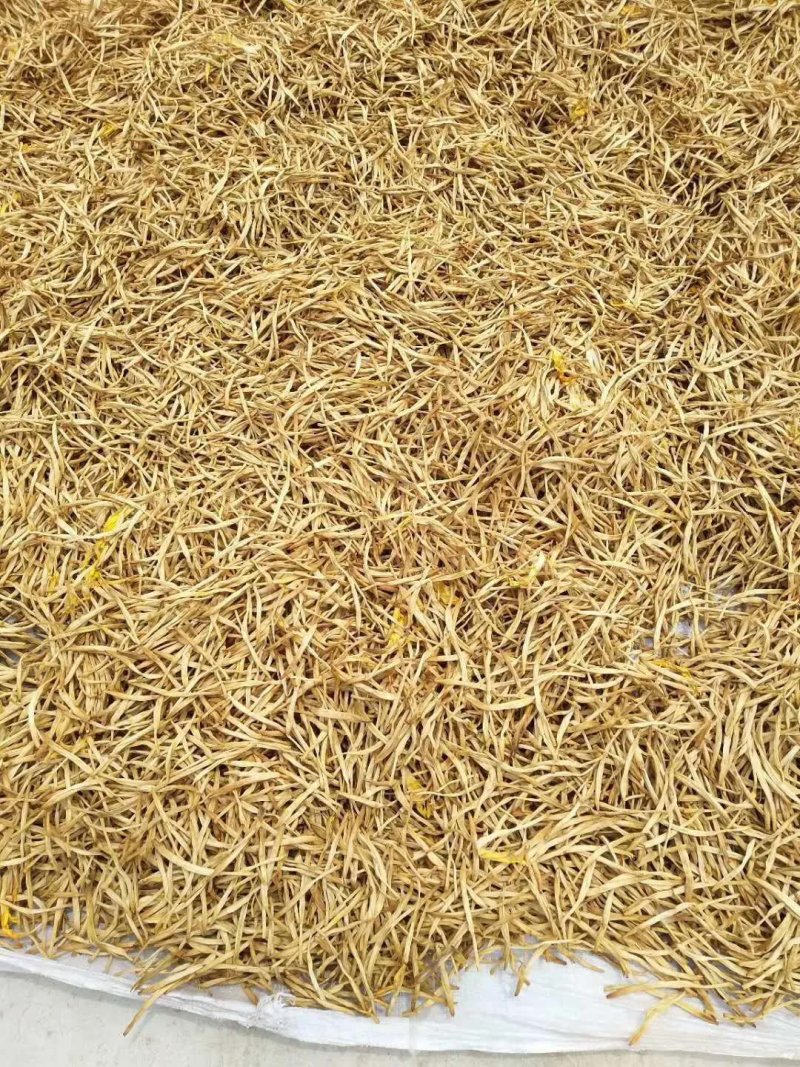 大荔精品黄花菜，产地直销，批发