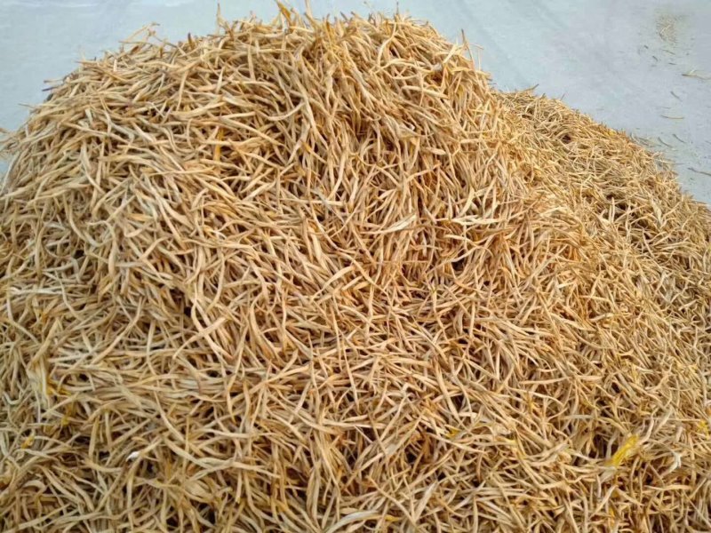大荔精品黄花菜，产地直销，批发