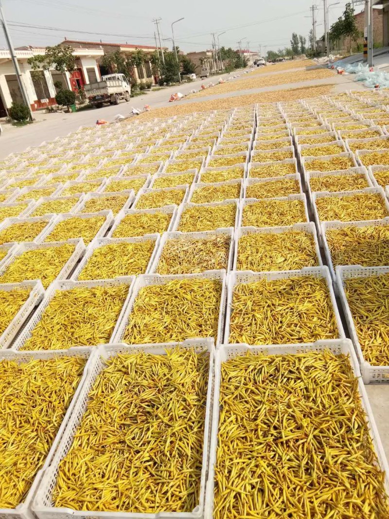 大荔精品黄花菜，产地直销，批发