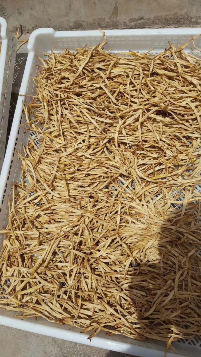 大荔精品黄花菜，产地直销，批发