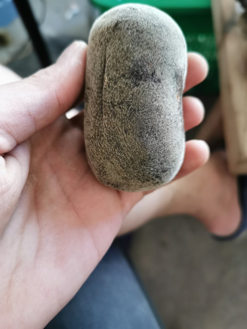 化州橘红