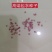 西红柿种子早春越冬番茄品种，抗TY抗死棵欧曼