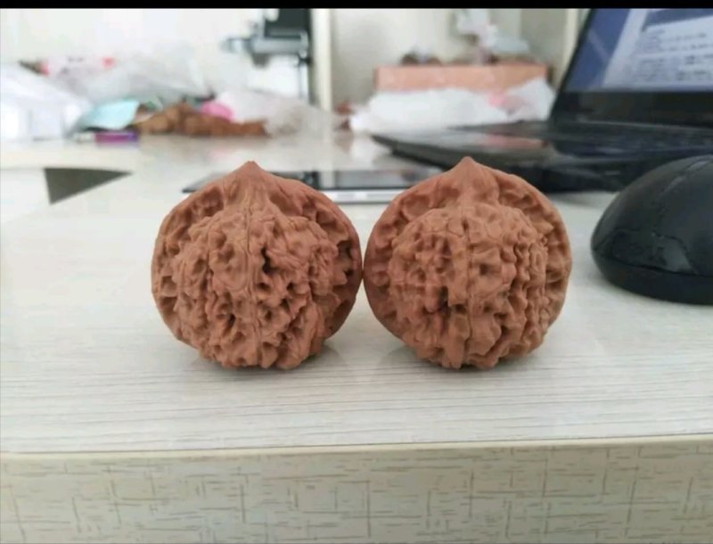 出售青皮野生山核桃，产地直销，精品货源。