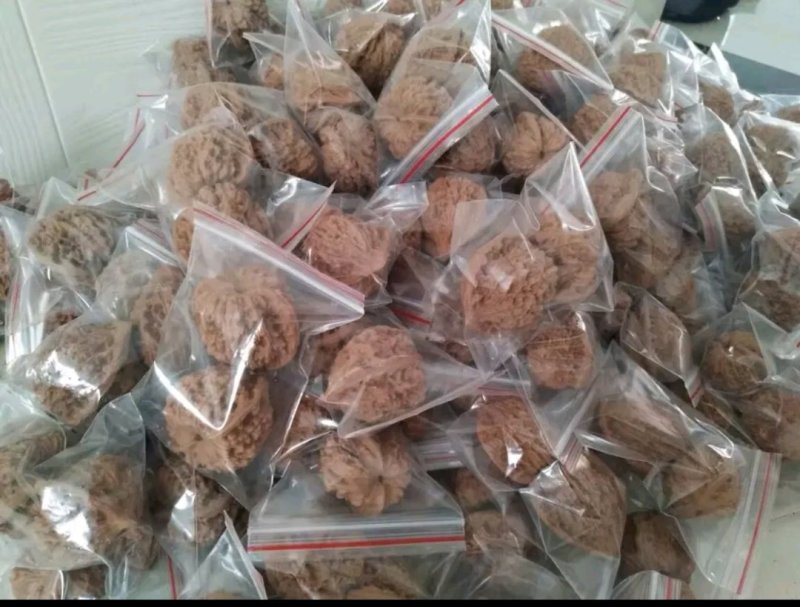 出售青皮野生山核桃，产地直销，精品货源。