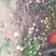 山东桃树苗基地嫁接桃树占木死苗补发量大优惠