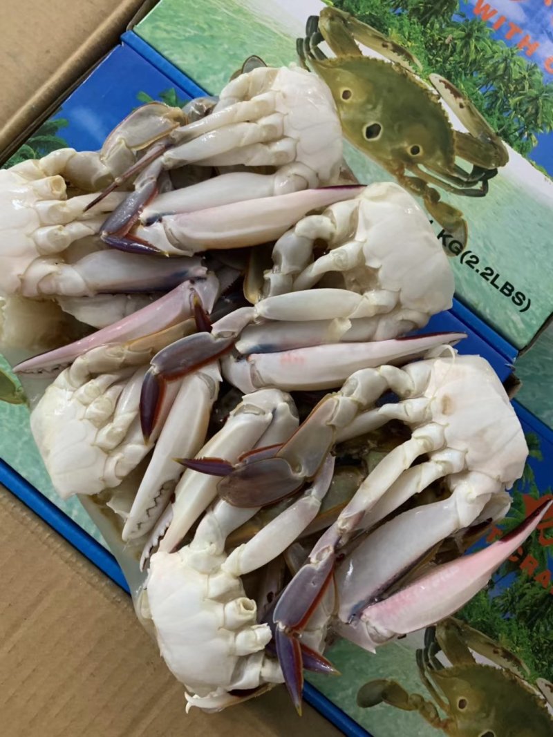 三点切蟹，泡沫箱，盒装均有
