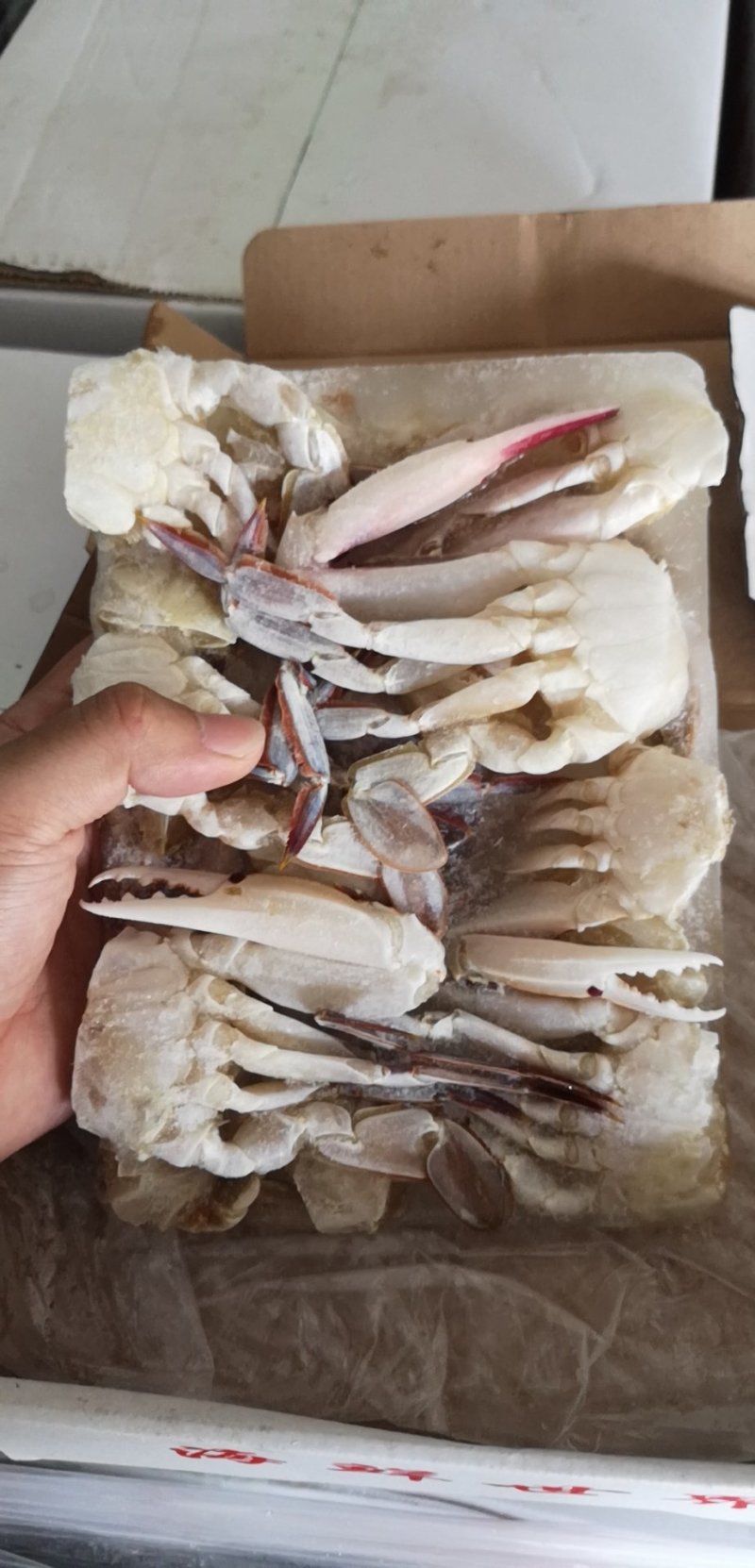 三点切蟹，泡沫箱，盒装均有