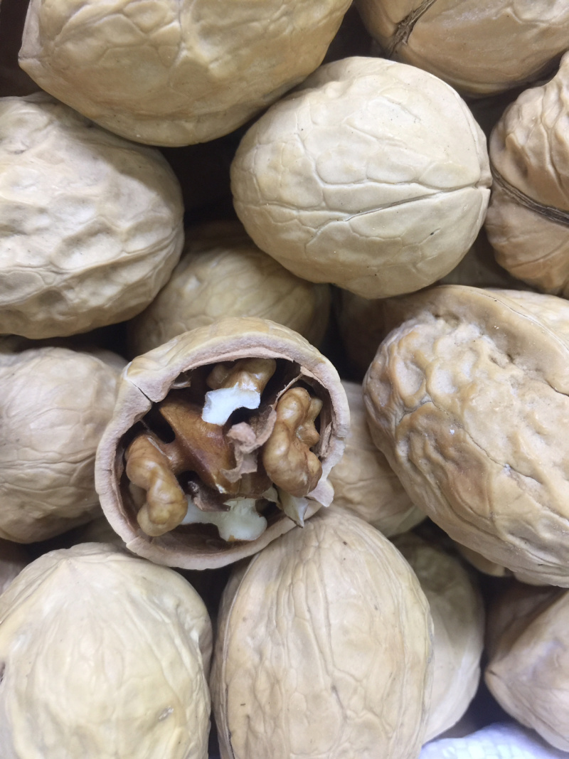 新疆纸皮核桃中个～皮薄香脆质量好