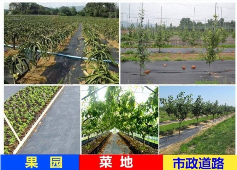全新料防草地布除草保湿透气透水保用3~5年厂家直销