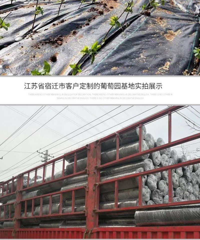 全新料防草地布除草保湿透气透水保用3~5年厂家直销