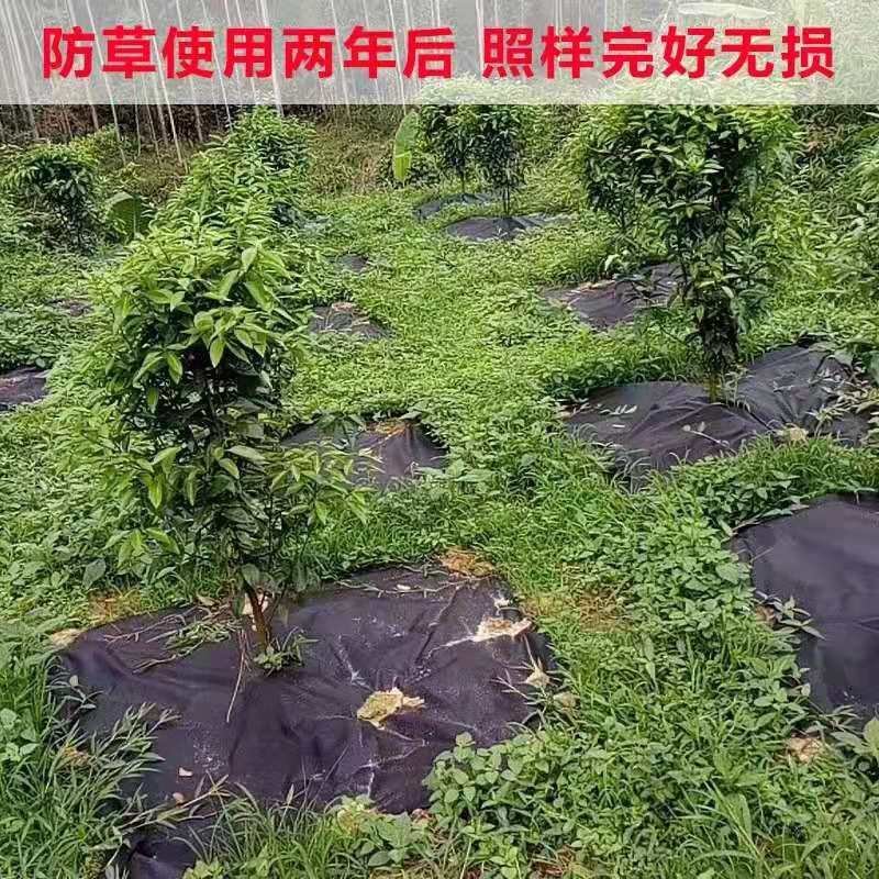 打孔切片防草布除草保湿透气透水您买的放心厂家直销
