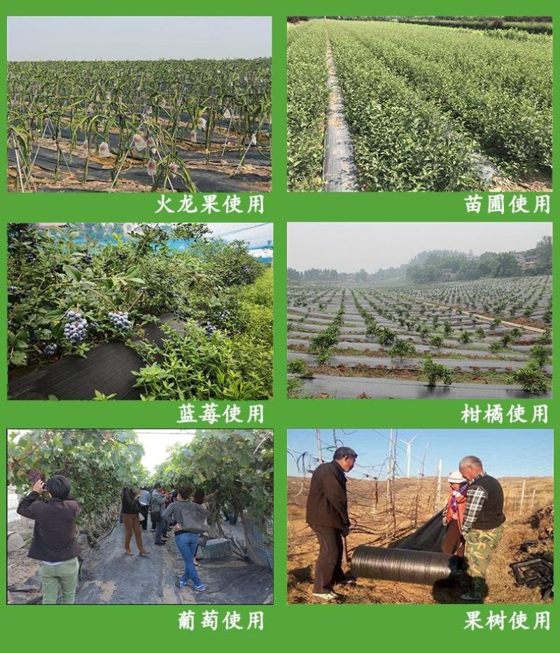 打孔切片防草布除草保湿透气透水您买的放心厂家直销