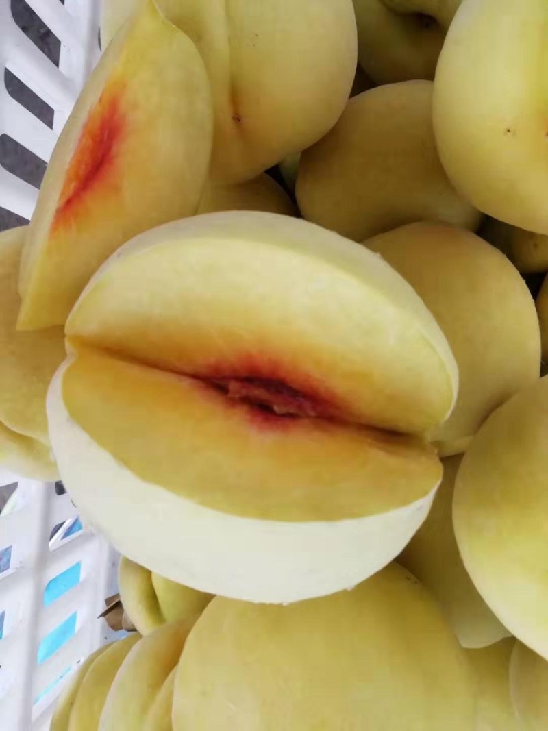 锦绣黄桃出售