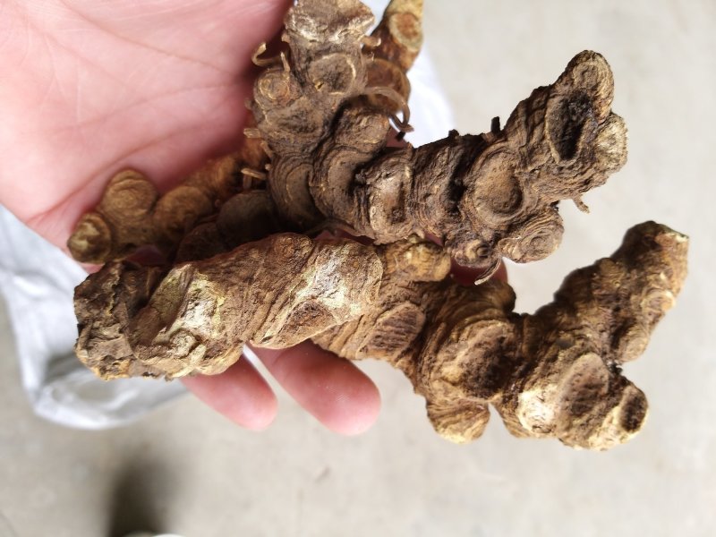 西藏野统八角连大货含量达标
