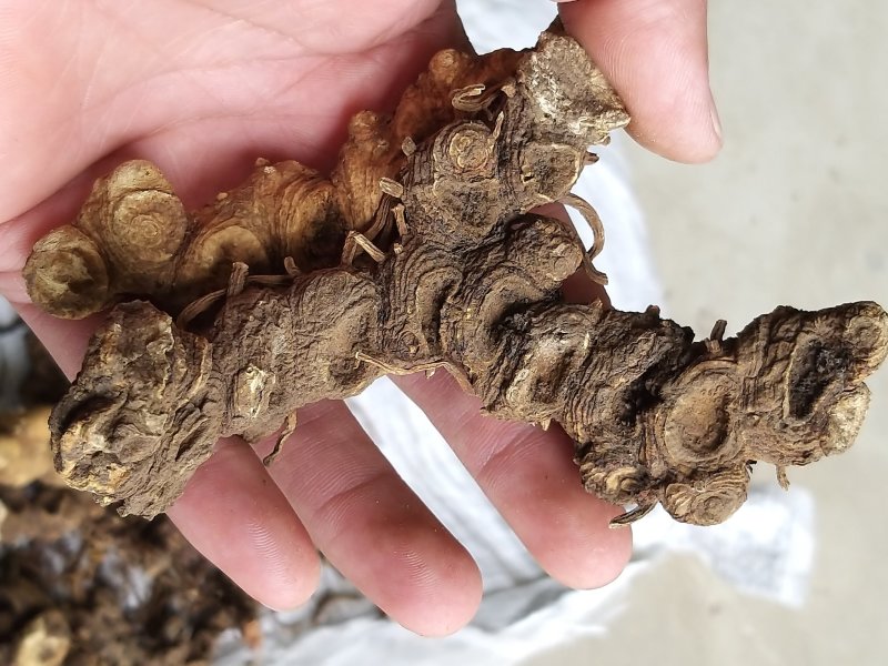 西藏野统八角连大货含量达标