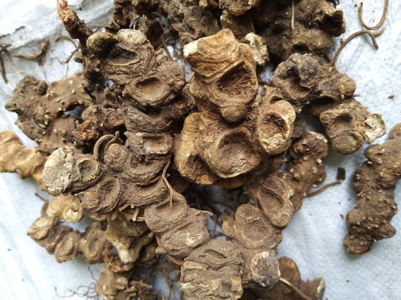 西藏野统八角连大货含量达标