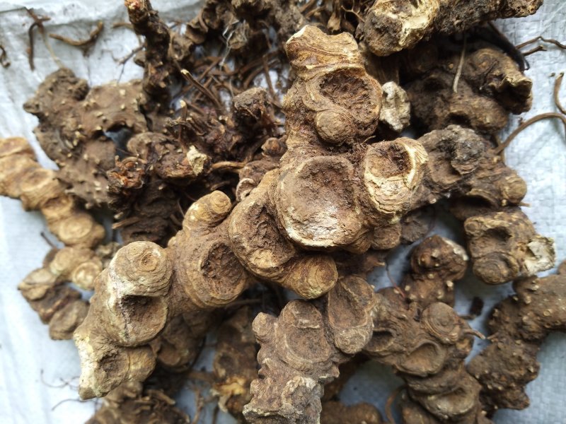 西藏野统八角连大货含量达标